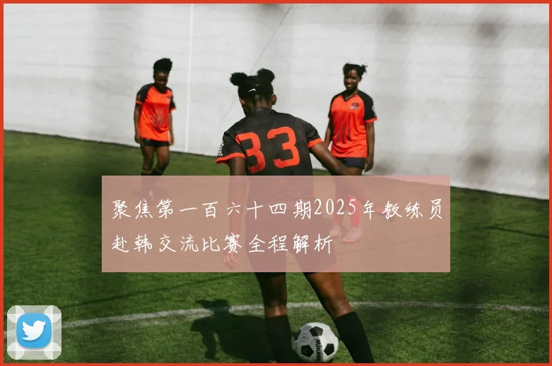 聚焦第一百六十四期2025年教练员赴韩交流比赛全程解析