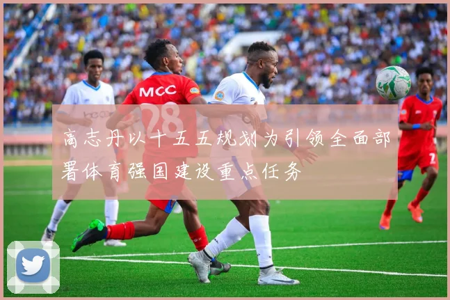 高志丹以十五五规划为引领全面部署体育强国建设重点任务